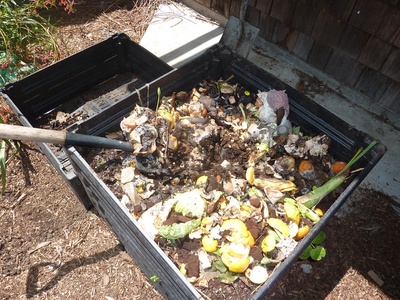 Banana peel compost (dried/ground)