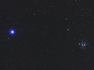 Beta Crucis (Mimosa)