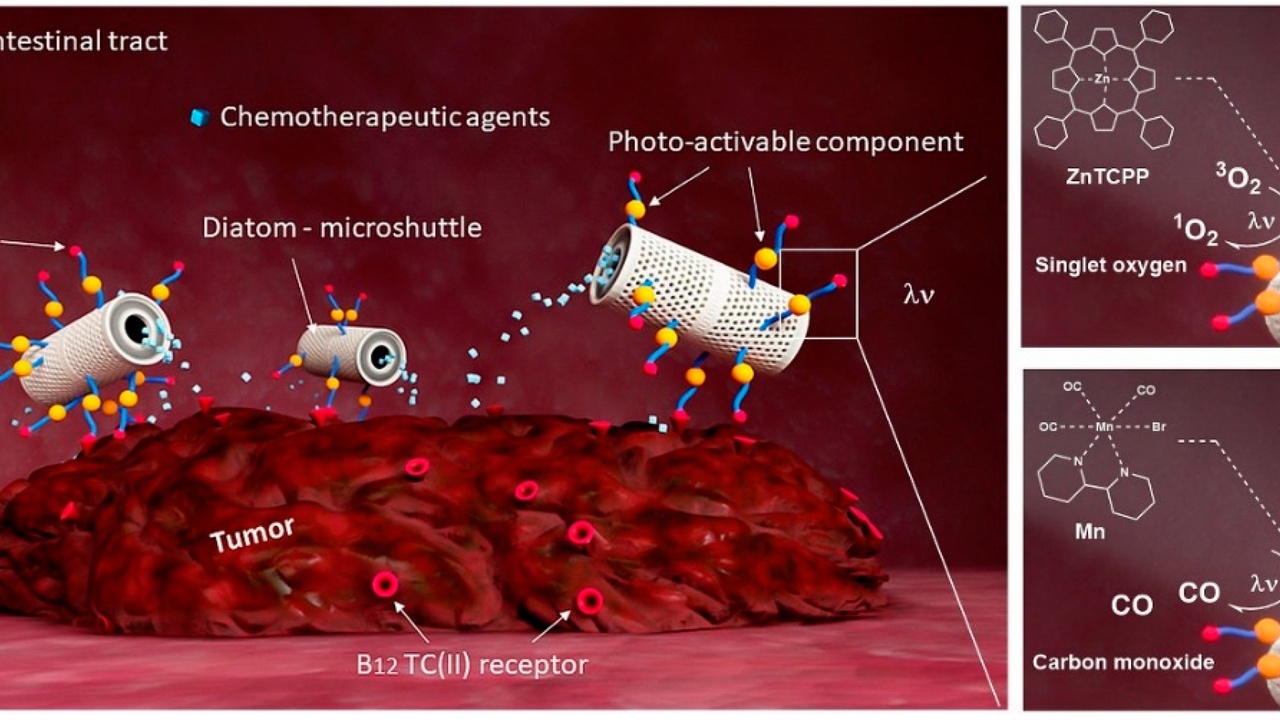 Lab scene showing biomaterials and drug delivery research