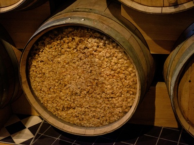 Brewer's spent grains