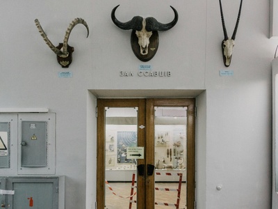 Buffalo Museum of Science