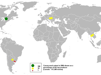 Canary seed