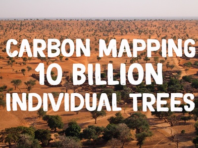 Carbon sequestration