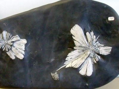 Celestine (mineral)