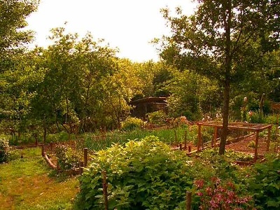 Chicken manure (composted)