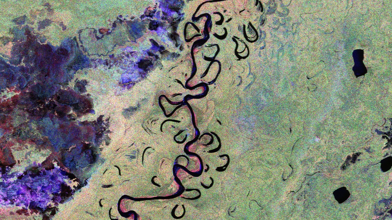 Aerial view of the Amazon rainforest illustrating vast forest cover and river networks