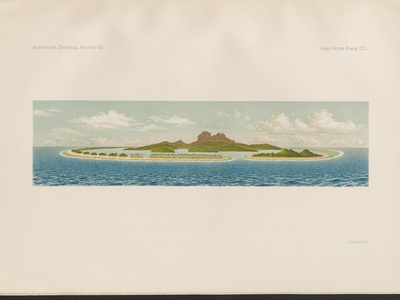 Coral reefs (tropical)