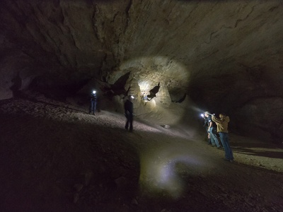 Coronado Cave