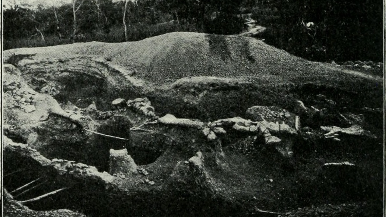 Paleontology field excavation showing tools and careful excavation practices