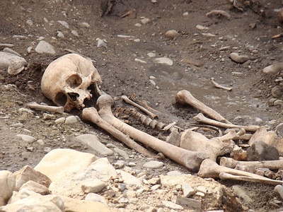 Forensic anthropology