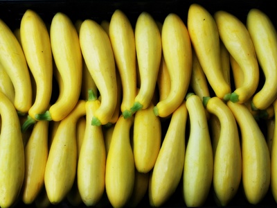 Fruit crops (bananas, mangoes)