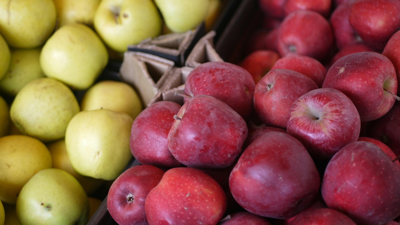 Farmer holding organic vegetables and produce on a market stall