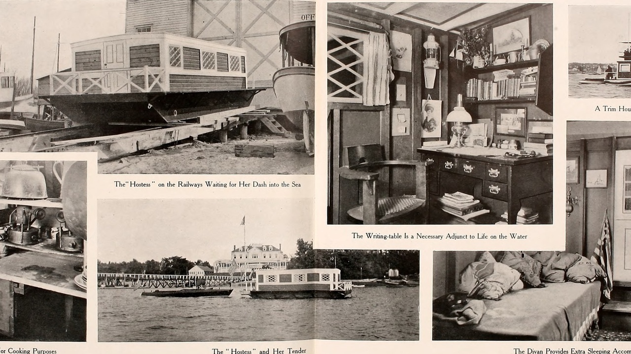Close-up of edible and poisonous mushroom species on forest floor