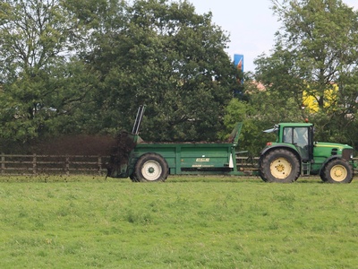 Horse manure (well-rotted)