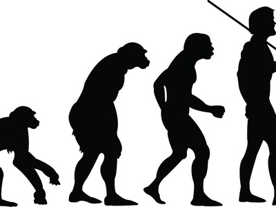 Human evolution