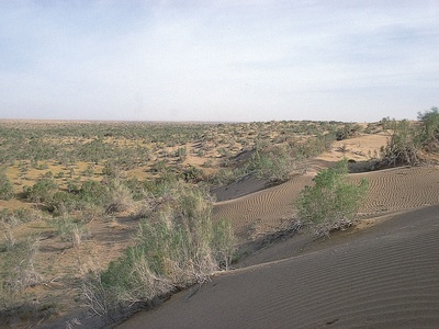 Karakum Desert
