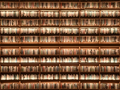 Material culture studies