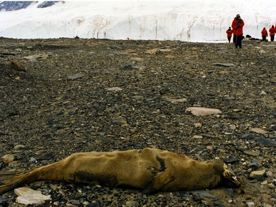 McMurdo Dry Valleys