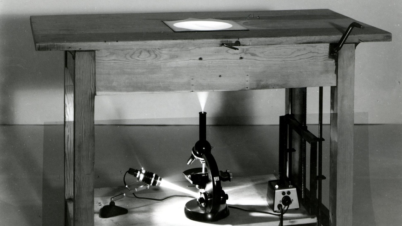 Light, fluorescence and electron microscopes used in microbiology