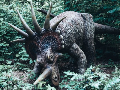 Museum of Life and Science