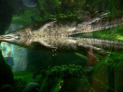 NC Aquarium on Roanoke Island