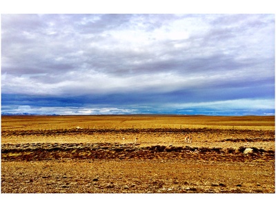 Patagonian Desert
