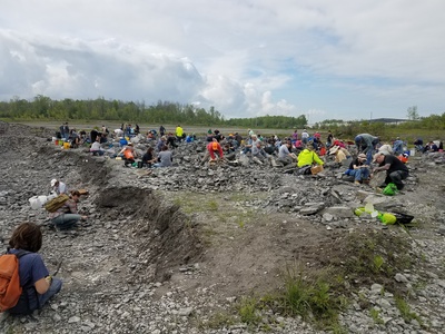 Penn Dixie Fossil Park & Nature Reserve