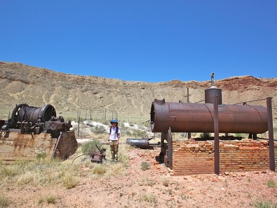 Platinum group metals (PGMs)