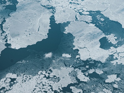 Polar sea-ice and pack-ice biome