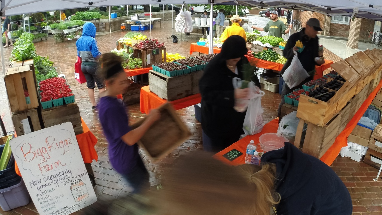 Shoppers at a farmers' market choosing produce and comparing labels