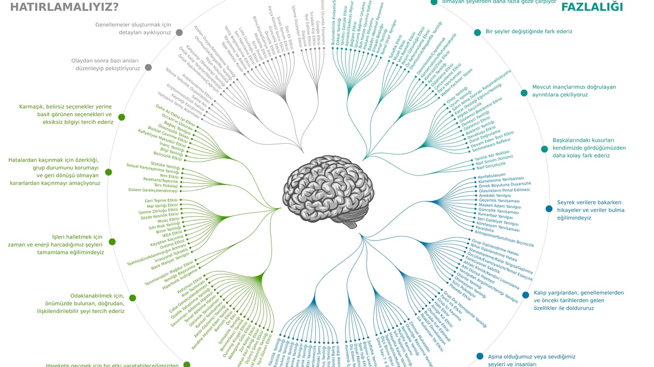 Person reading horoscope on a phone; social sharing of horoscopes