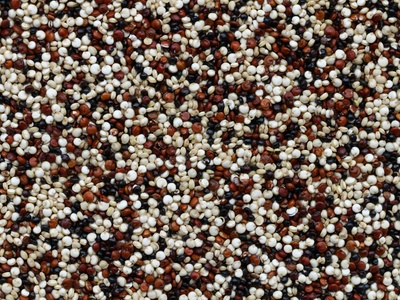 Quinoa