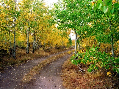 Recreational landscapes and fall foliage