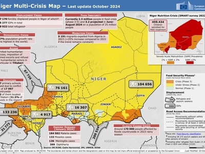 Refugee and displacement studies