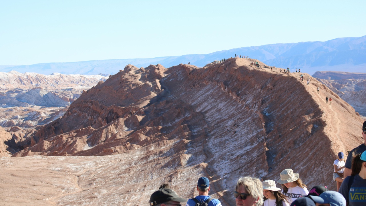 Students in a field classroom mapping outcrops while a satellite-derived geological map is displayed on a tablet.