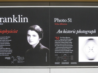 Rosalind Franklin