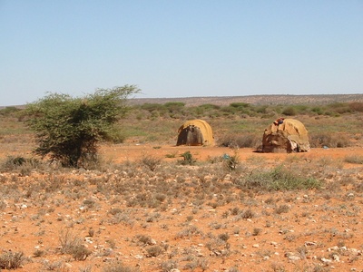 Somali Desert