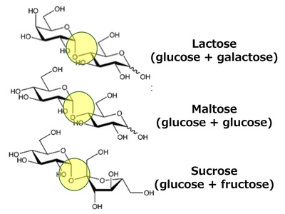Sucrose