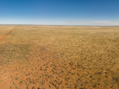 Tanami Desert