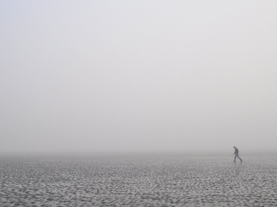 Tidal flats (mudflats)