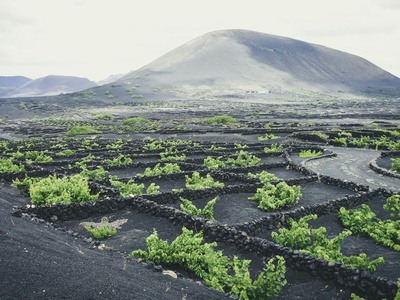 Volcanic soils