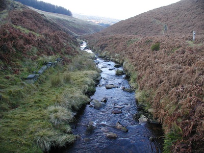 Waterfalls and scenic freshwater sites