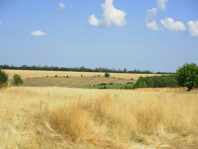 Agricultural land (meadows & arable)
