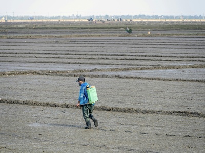 Agricultural pesticides