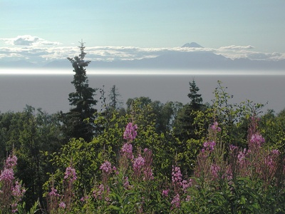 Alaska Peninsula