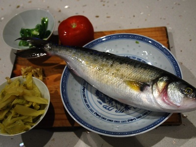 Atlantic salmon (wild)