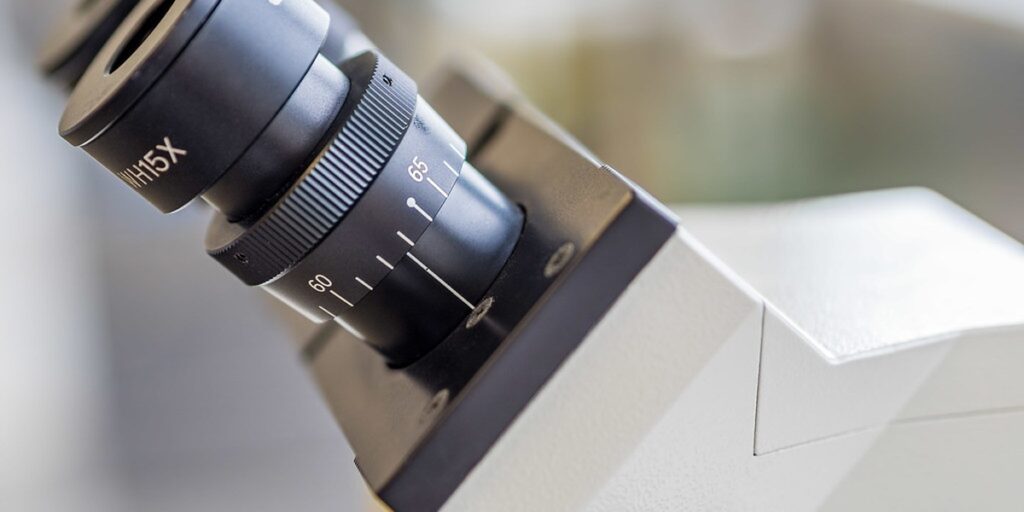 Types of Microscopes: The Complete List - 33Science