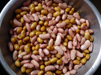 Beans (pulses)