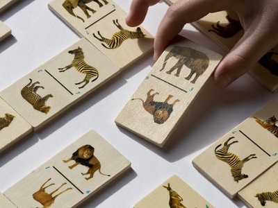 Biodiversity (species richness)