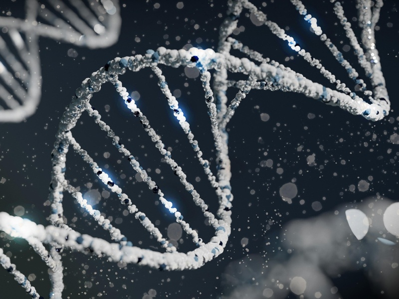 Branches Of Life Science: The Complete List - 33Science